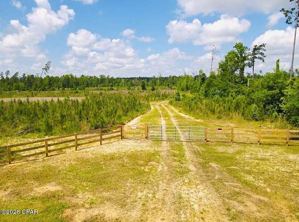 59 Acres of Land for Sale in Sneads, Florida