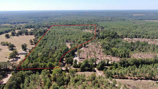 35.2 Acres of Recreational Land for Sale in Jefferson, Texas