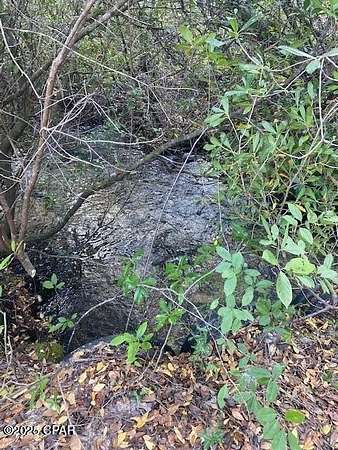 153 Acres of Recreational Land for Sale in Altha, Florida