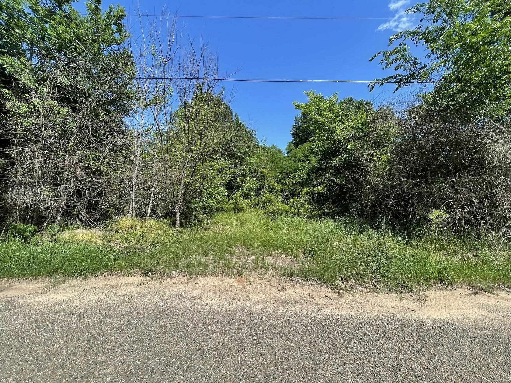 0.46 Acres of Land for Sale in Gilmer, Texas
