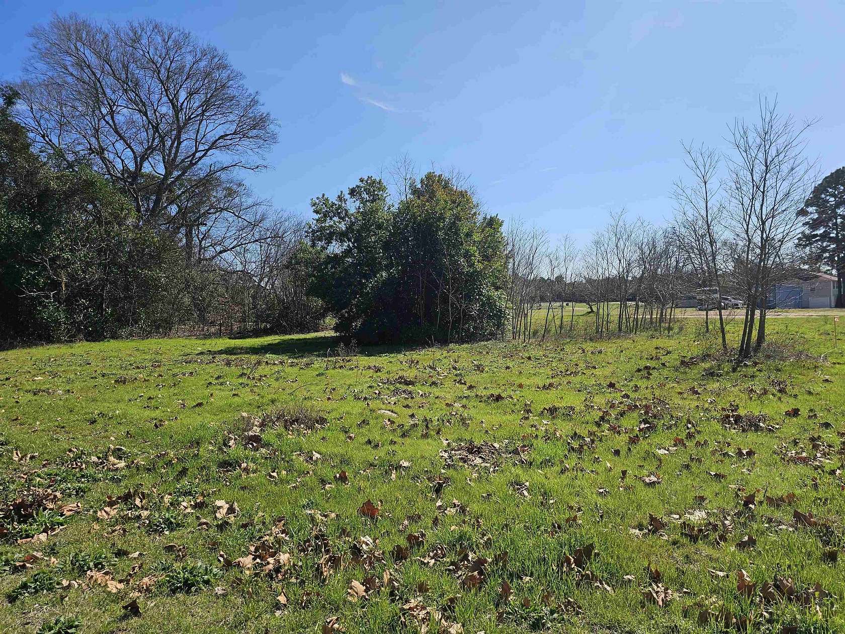 0.58 Acres of Residential Land for Sale in Big Sandy, Texas