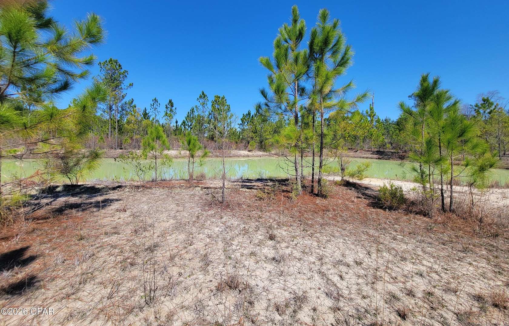16 Acres of Agricultural Land for Sale in Alford, Florida