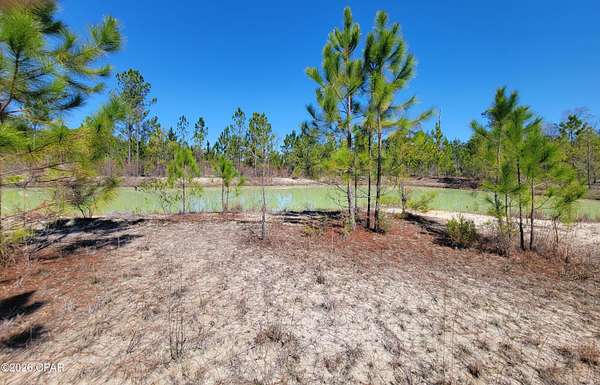 16 Acres of Agricultural Land for Sale in Alford, Florida
