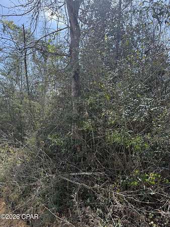 10 Acres of Land for Sale in Marianna, Florida