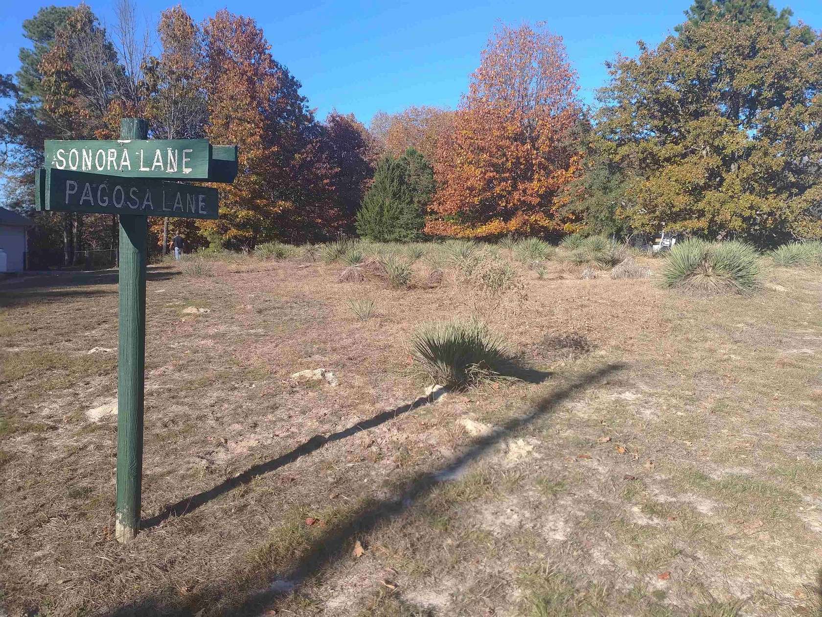 0.27 Acres of Residential Land for Sale in Holly Lake Ranch, Texas