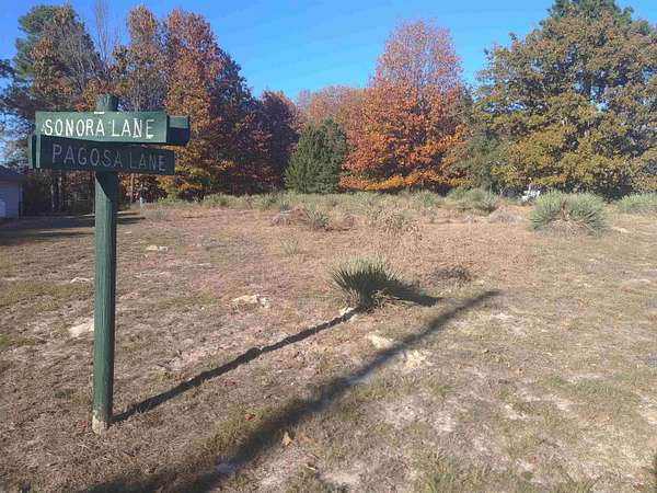 0.27 Acres of Residential Land for Sale in Holly Lake Ranch, Texas