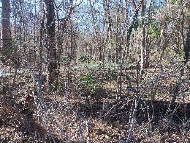 0.72 Acres of Residential Land for Sale in Kilgore, Texas