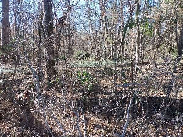 0.72 Acres of Residential Land for Sale in Kilgore, Texas