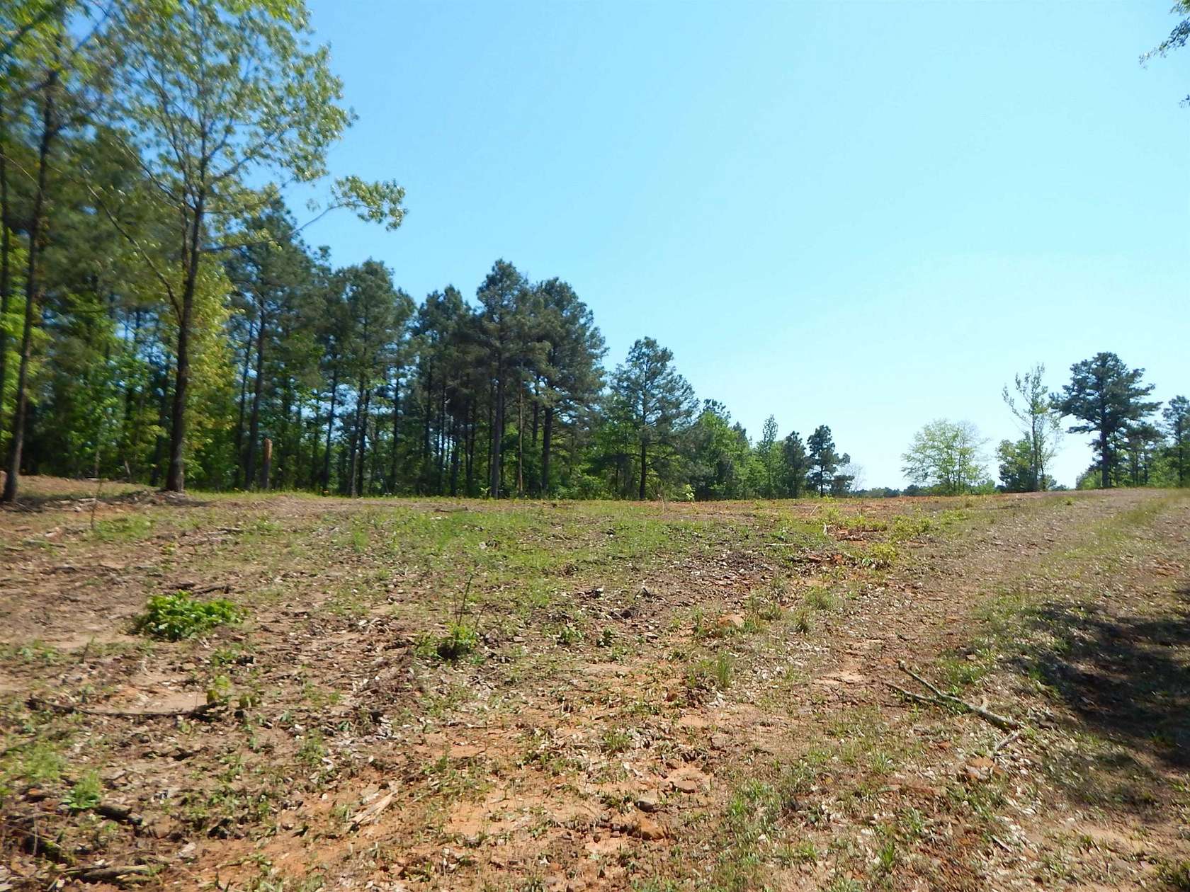 15 Acres of Land for Sale in Big Sandy, Texas