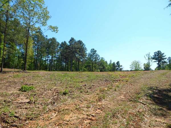 15 Acres of Land for Sale in Big Sandy, Texas
