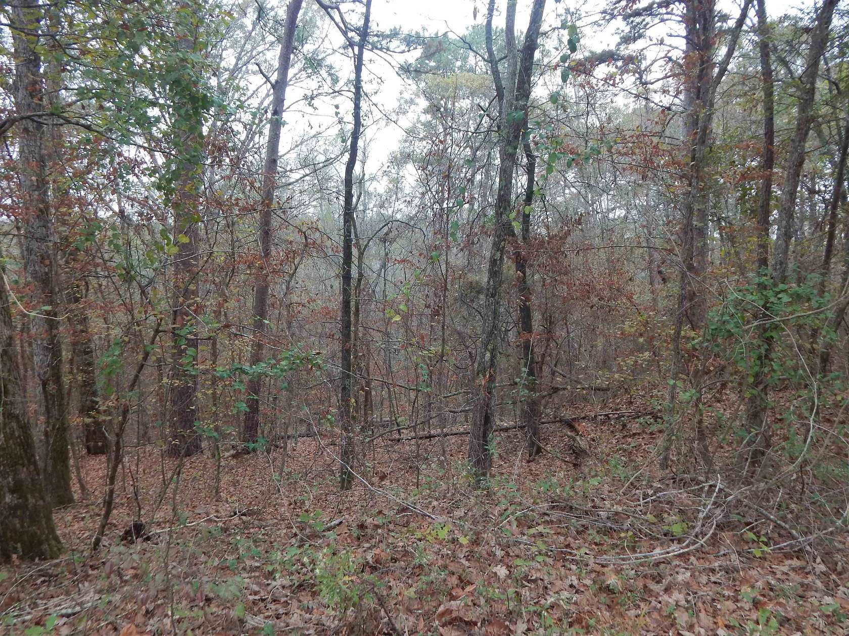 1.29 Acres of Land for Sale in Gilmer, Texas