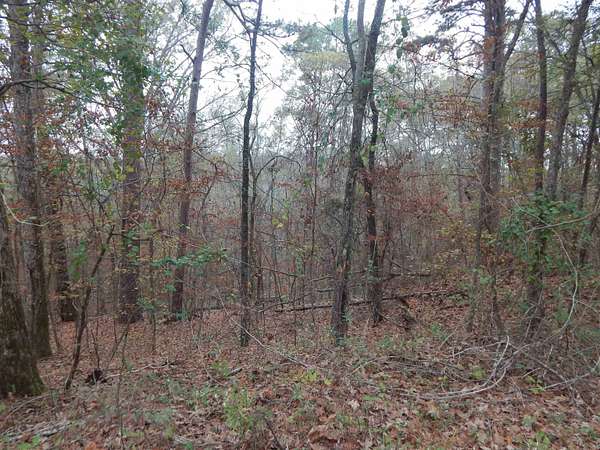 1.29 Acres of Land for Sale in Gilmer, Texas