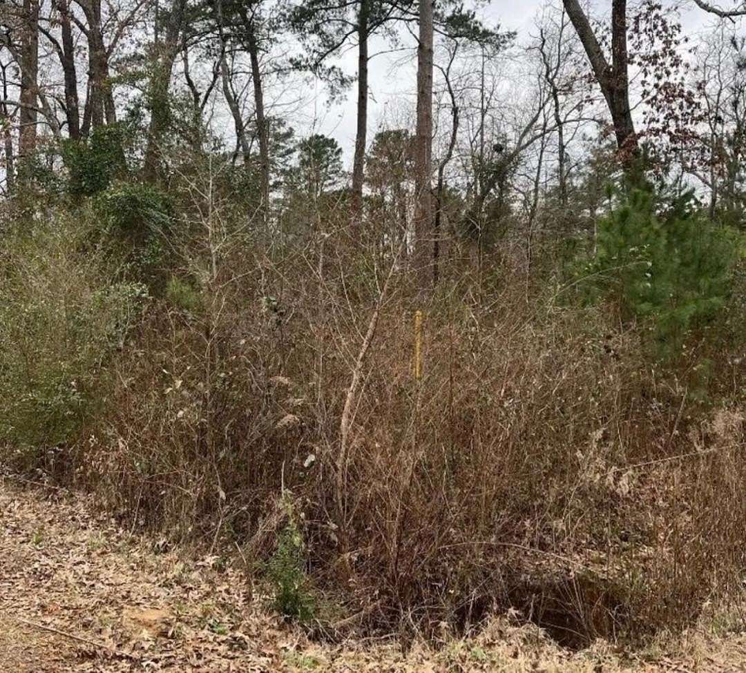 0.12 Acres of Residential Land for Sale in Jefferson, Texas