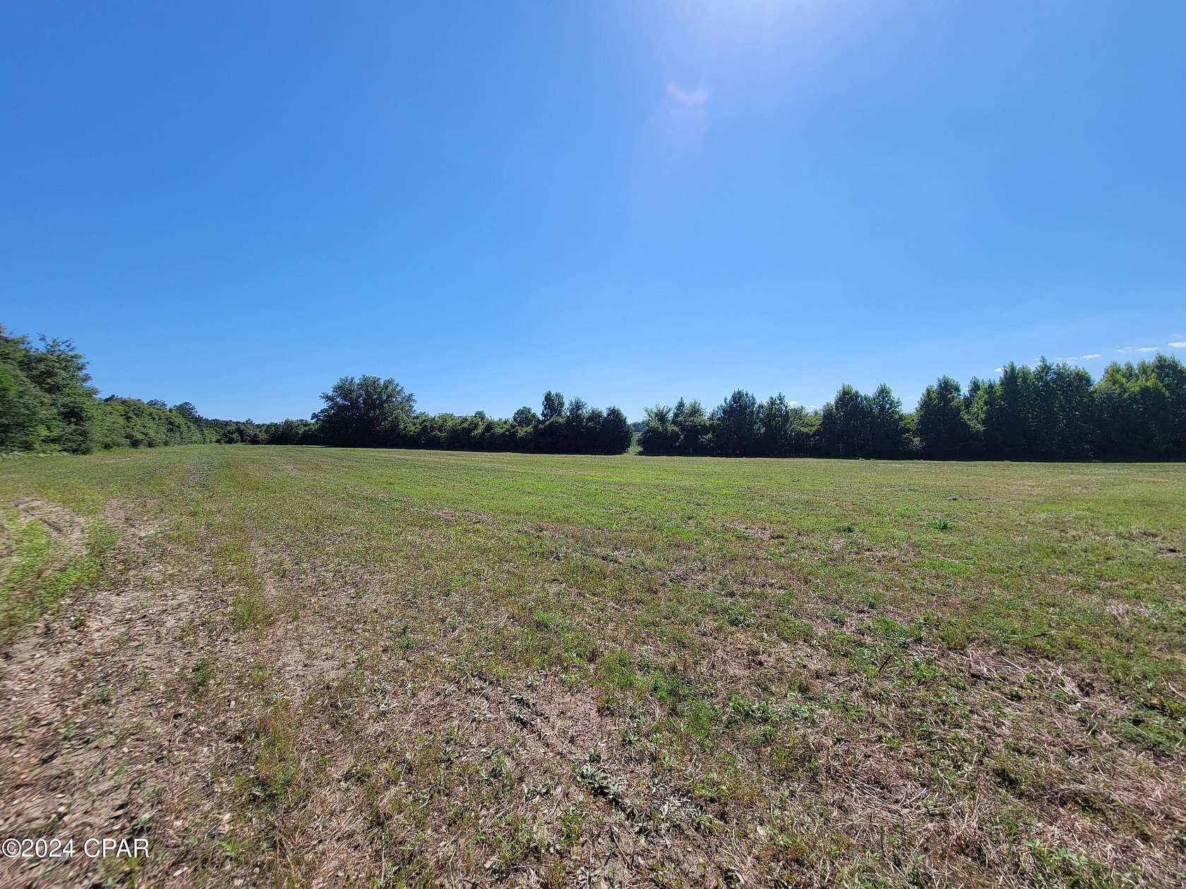 14.4 Acres of Land for Sale in Westville, Florida