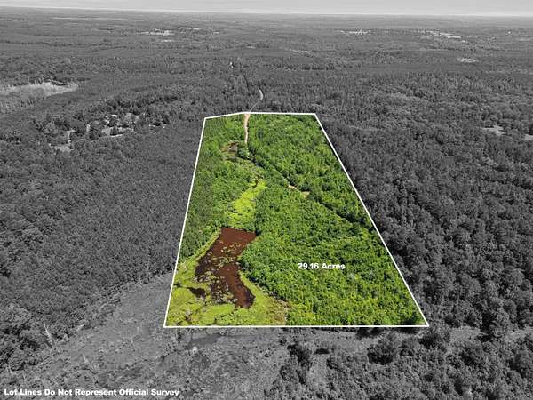 29.2 Acres of Recreational & Residential Land for Sale in Jefferson, Texas