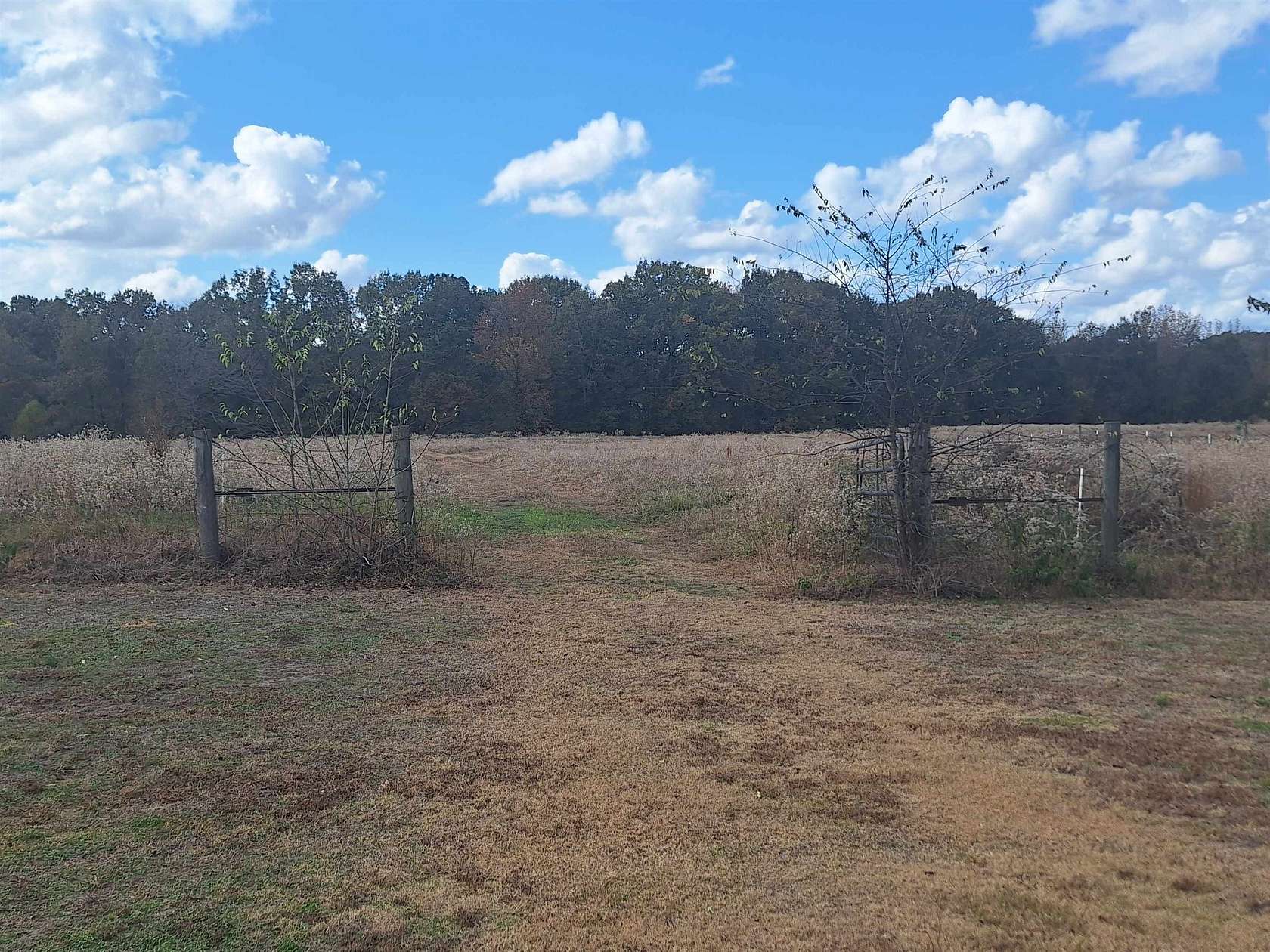 8 Acres of Residential Land for Sale in Cookville, Texas