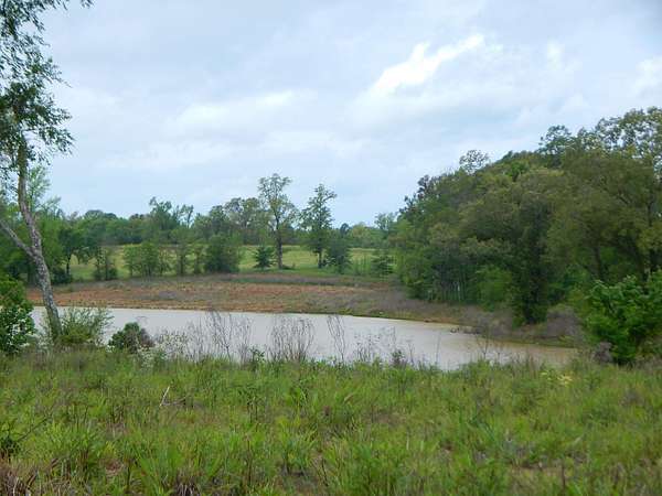 2.44 Acres of Land for Sale in Diana, Texas
