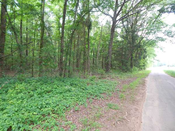 3 Acres of Land for Sale in Pittsburg, Texas