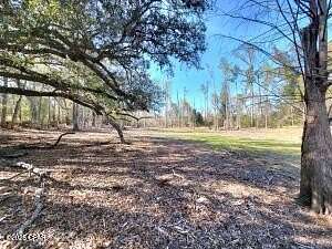 7 Acres of Residential Land for Sale in Sneads, Florida