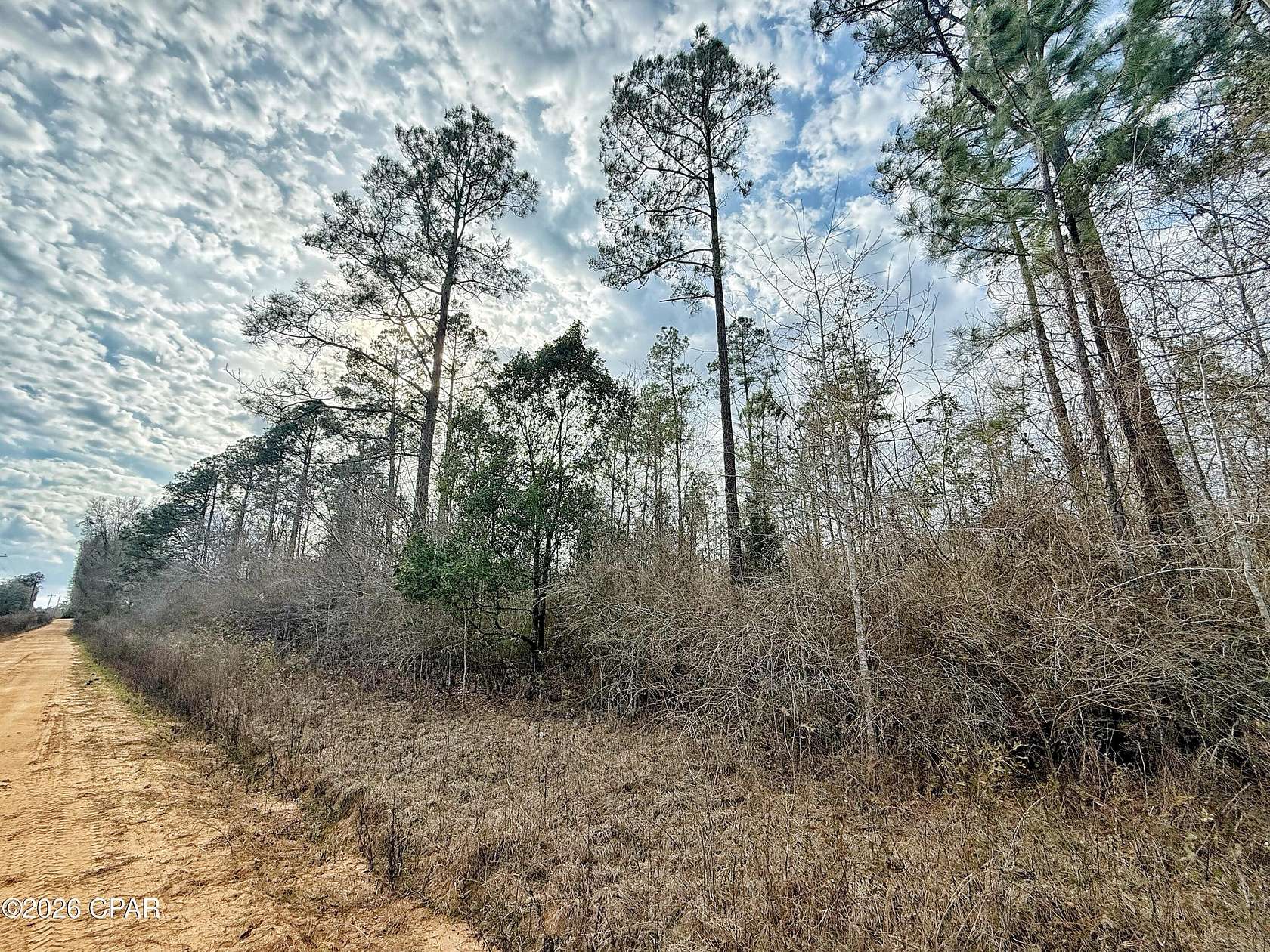 20 Acres of Recreational & Residential Land for Sale in Cottondale, Florida