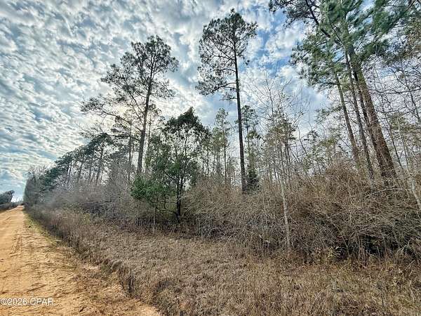 20 Acres of Recreational & Residential Land for Sale in Cottondale, Florida