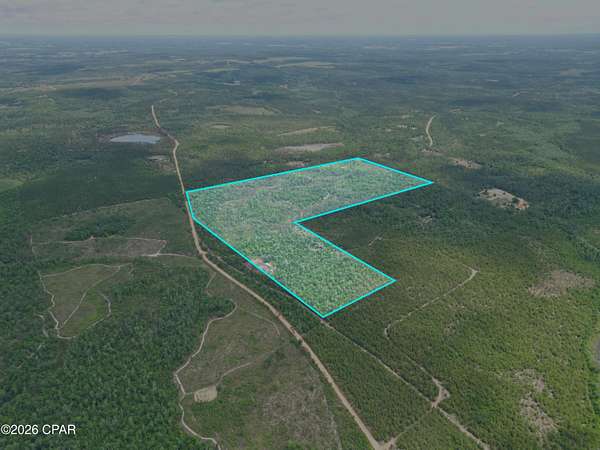 99 Acres of Recreational Land for Sale in Marianna, Florida