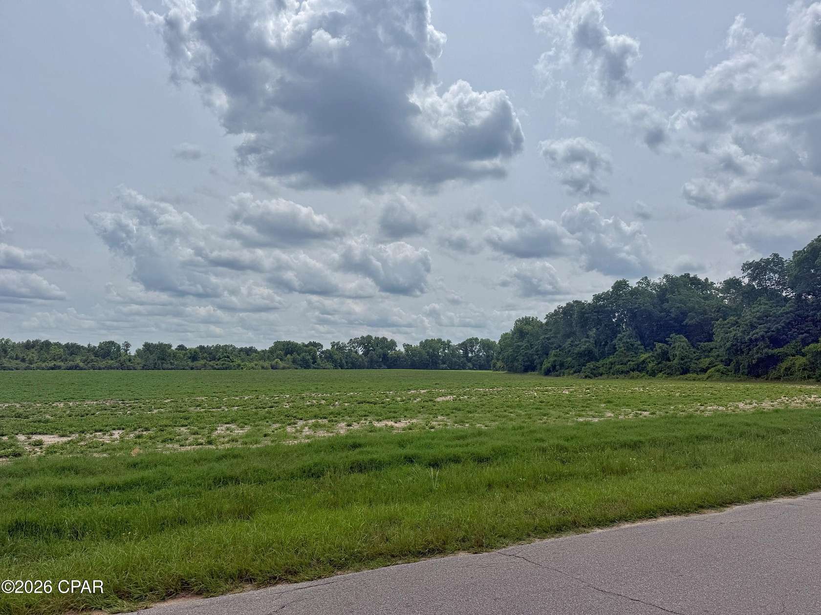 75 Acres of Recreational Land for Sale in Graceville, Florida