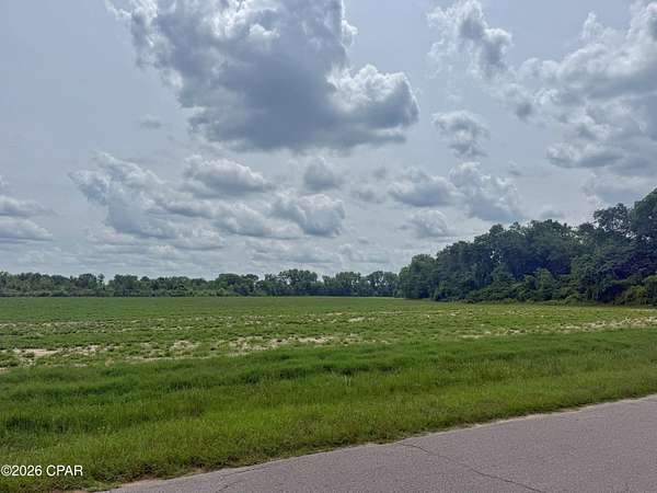 75 Acres of Recreational Land for Sale in Graceville, Florida