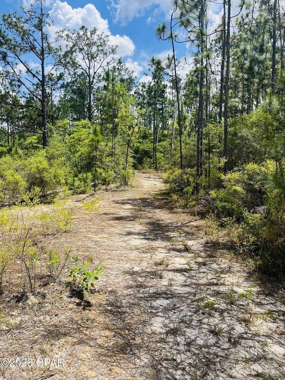 1 Acre of Residential Land for Sale in Alford, Florida