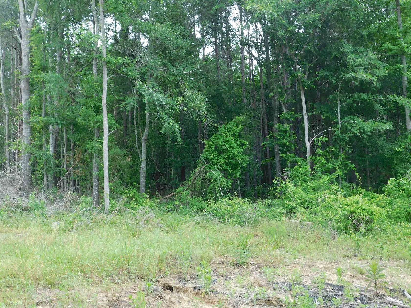 0.7 Acres of Land for Sale in Gilmer, Texas