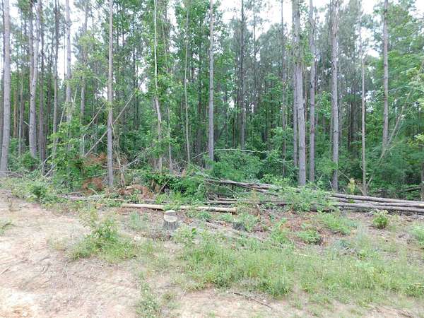 0.7 Acres of Land for Sale in Gilmer, Texas