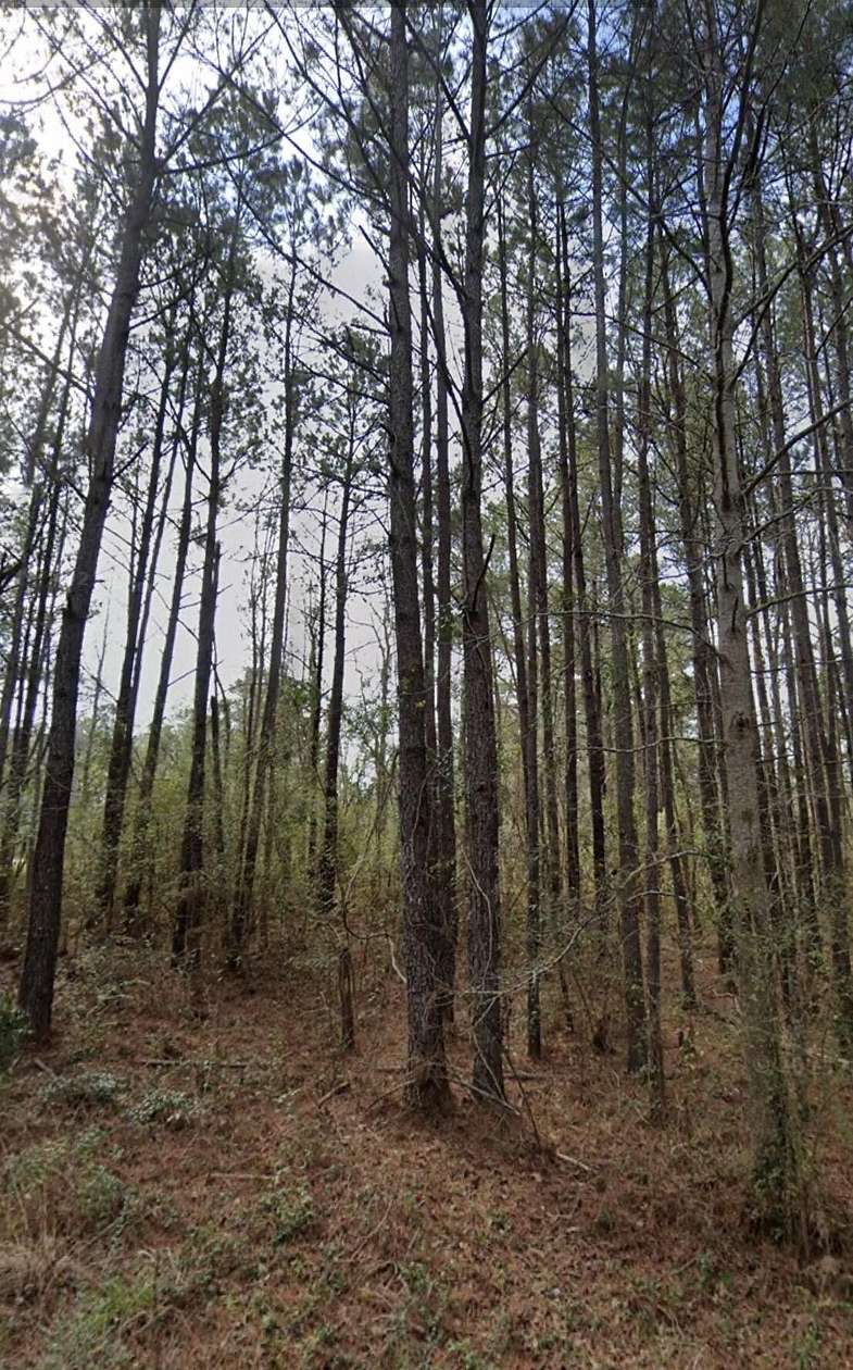 0.26 Acres of Residential Land for Sale in Andrews, South Carolina