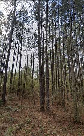 0.26 Acres of Residential Land for Sale in Andrews, South Carolina