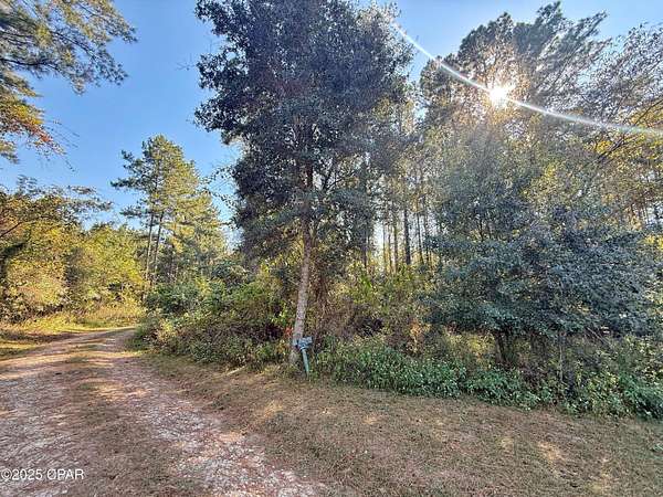 5 Acres of Land for Sale in Sneads, Florida