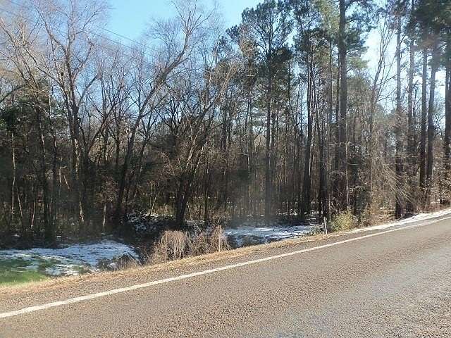 42 Acres of Recreational Land for Sale in Kilgore, Texas