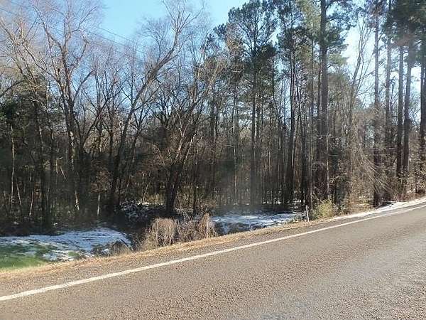 42 Acres of Recreational Land for Sale in Kilgore, Texas