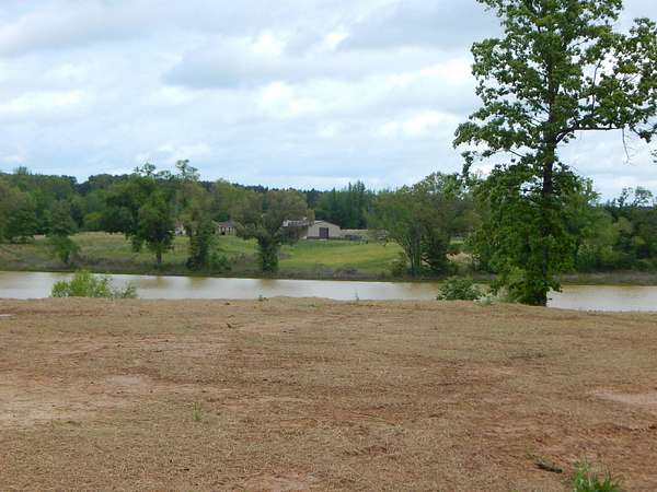 3.29 Acres of Land for Sale in Diana, Texas