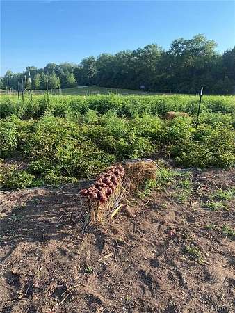 9 Acres of Land for Sale in Defiance, Missouri