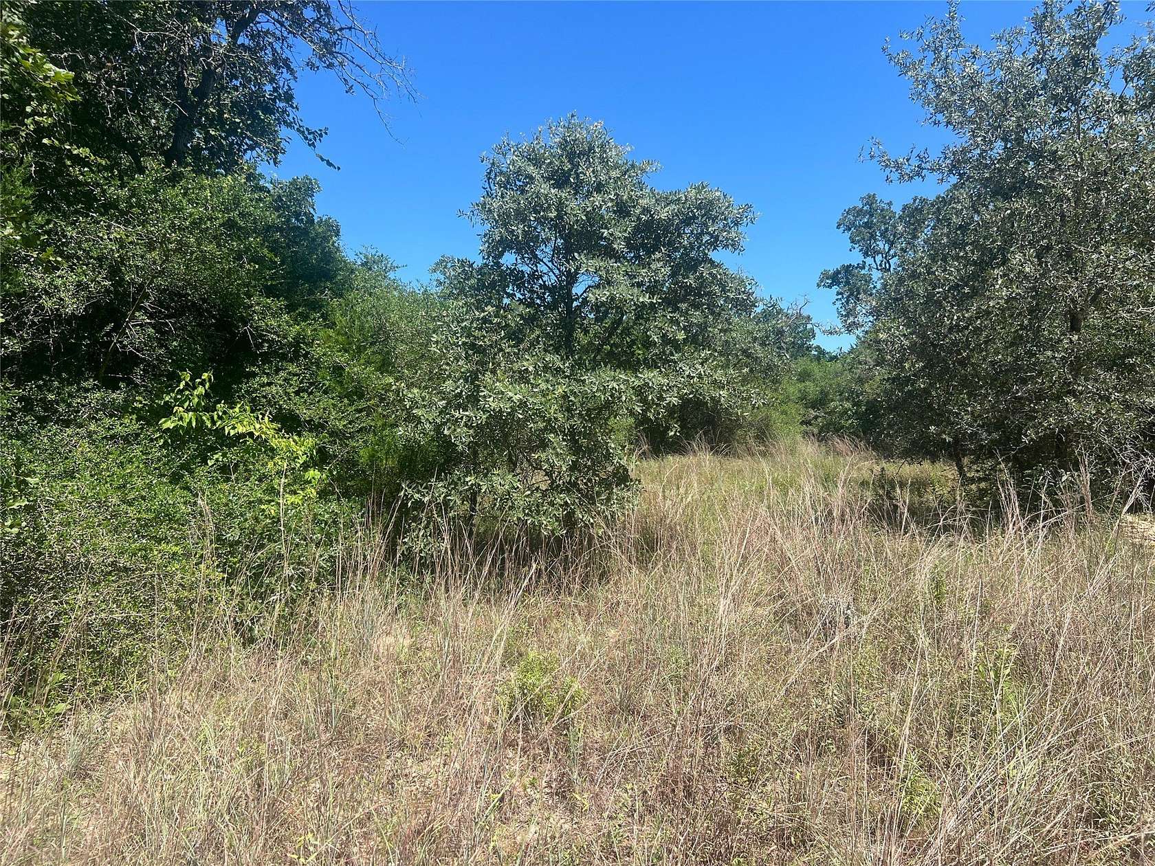 30.1 Acres of Recreational Land for Sale in Normangee, Texas