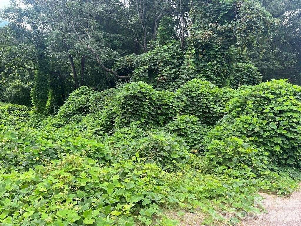 0.57 Acres of Residential Land for Sale in Spindale, North Carolina