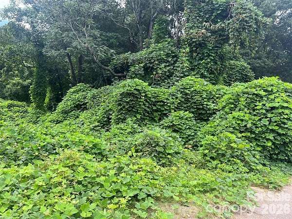 0.57 Acres of Residential Land for Sale in Spindale, North Carolina