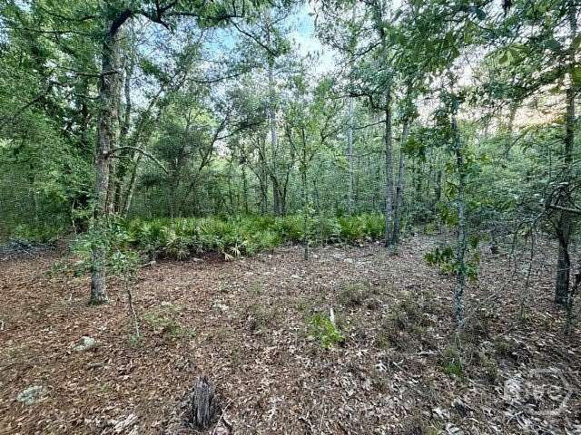4.13 Acres of Residential Land for Sale in Claxton, Georgia