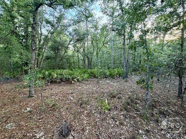 4.13 Acres of Residential Land for Sale in Claxton, Georgia
