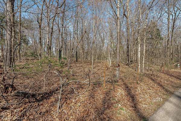 3 Acres of Residential Land for Sale in Jonesboro, Arkansas
