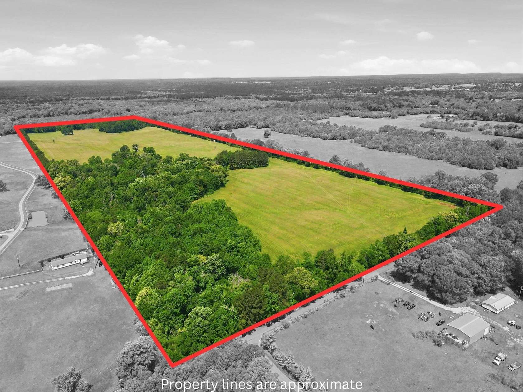81.3 Acres of Land for Sale in Big Sandy, Texas
