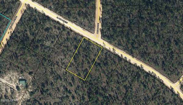 1 Acre of Land for Sale in Alford, Florida