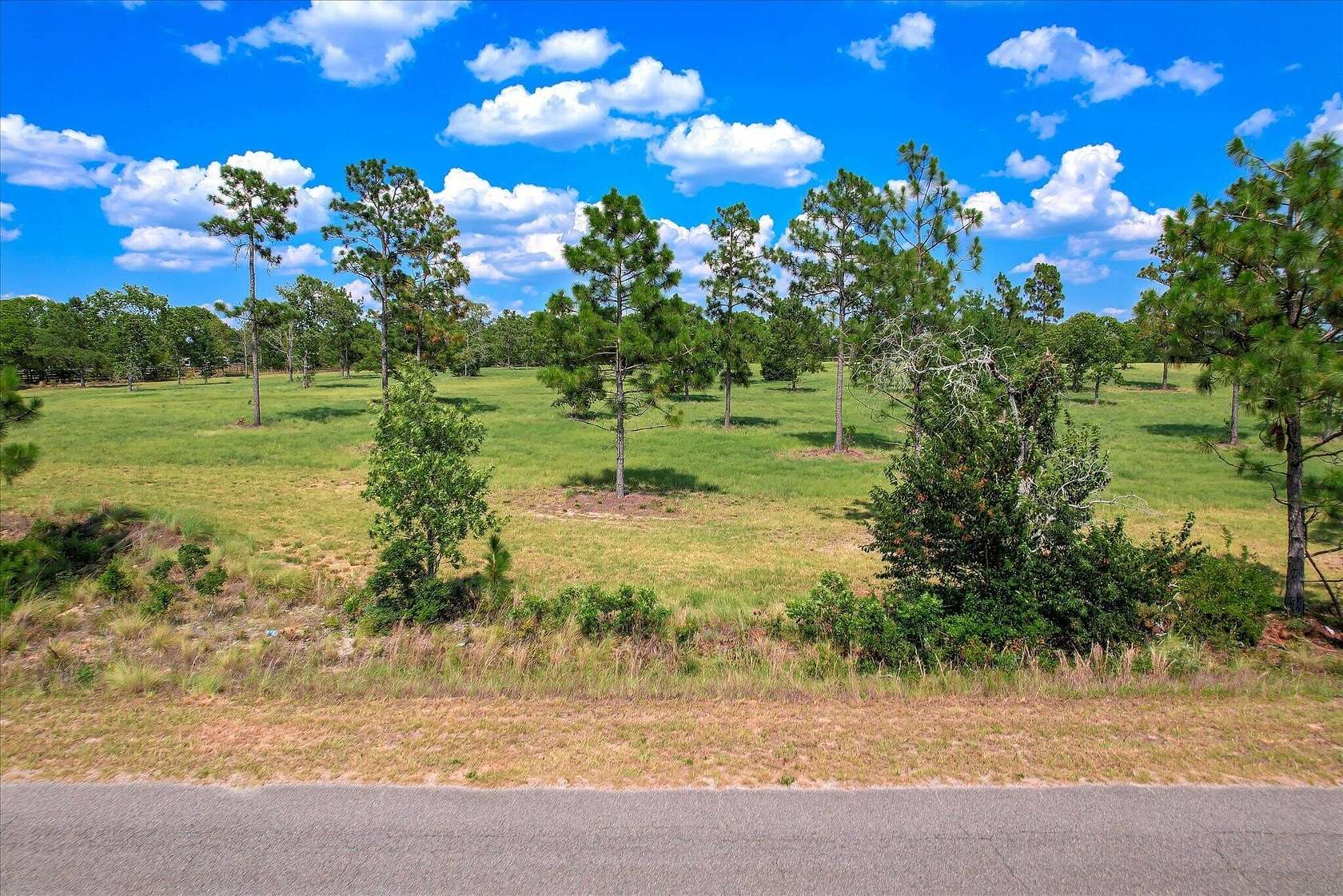 16.1 Acres of Land for Sale in Wagener, South Carolina