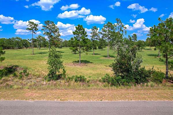 16.1 Acres of Land for Sale in Wagener, South Carolina