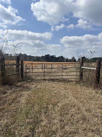 46.6 Acres of Recreational & Residential Land for Sale in Karnack, Texas