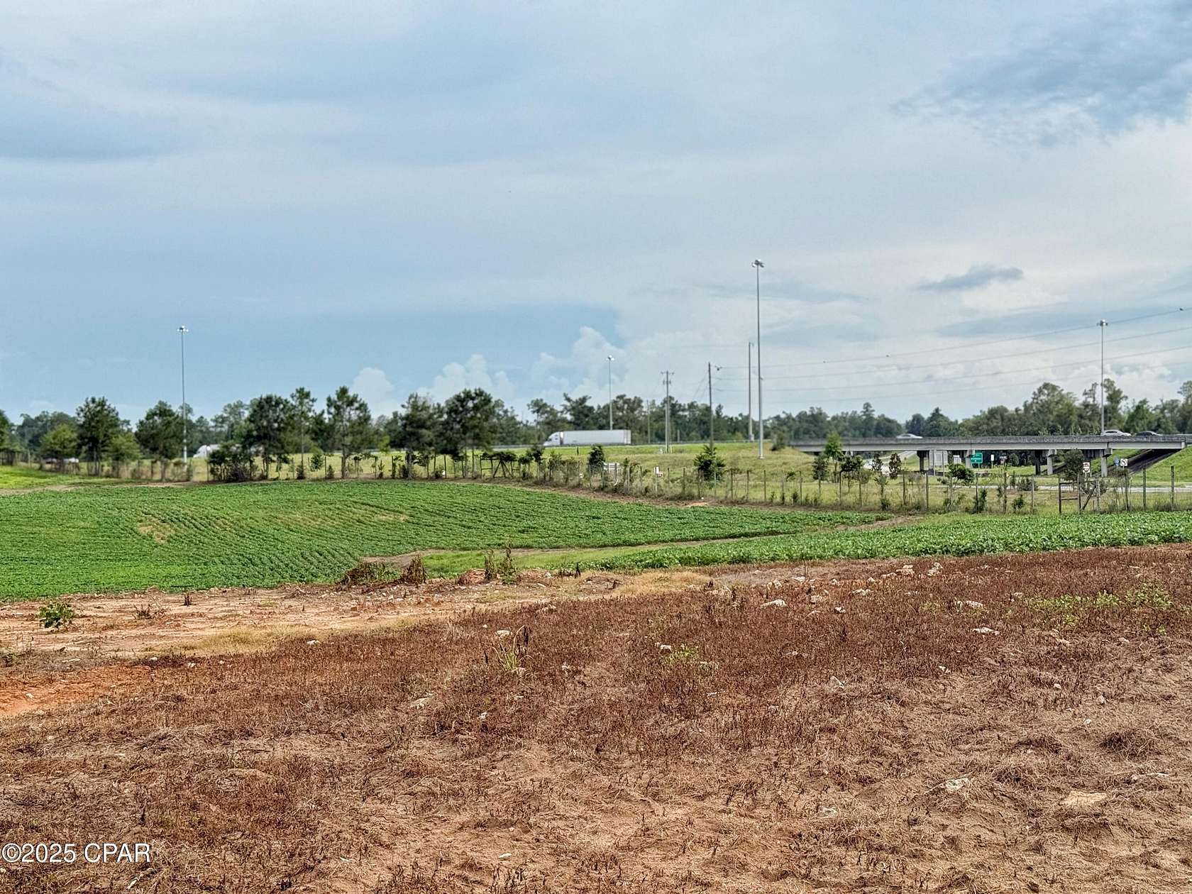 19 Acres of Land for Sale in Grand Ridge, Florida